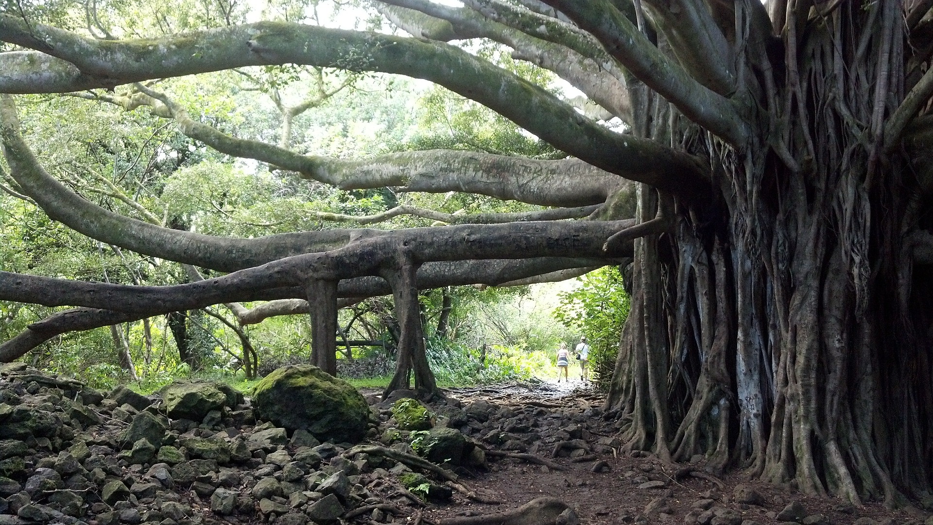 historical places to visit on oahu