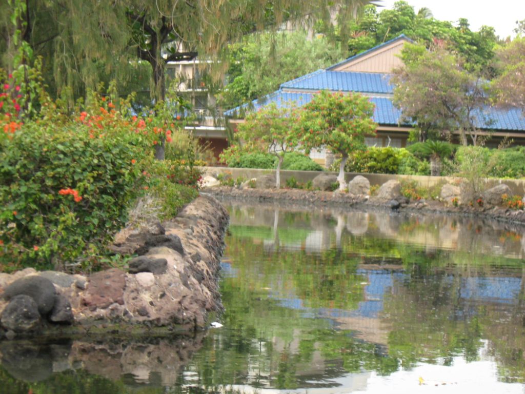 Waikoloa Village Vacation Rentals Waikoloa Hawaii Vacation Condos ILH